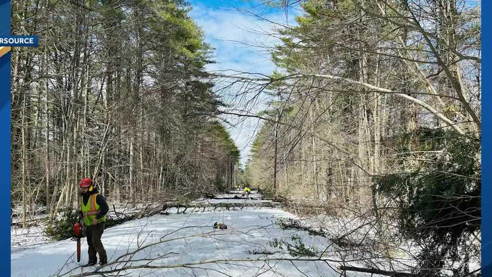 Crews in final stages of power restoration following last week's nor'easter - Vimarsana News