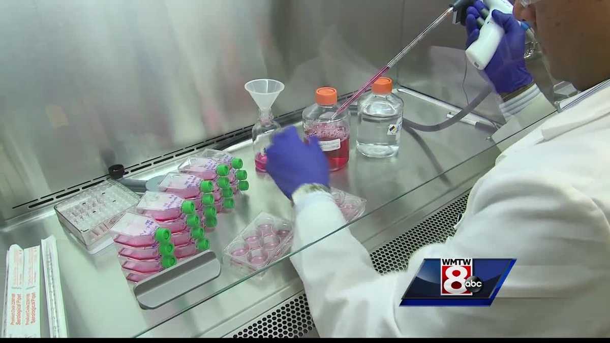 New research at UNE could help detect aggressive form of breast cancer