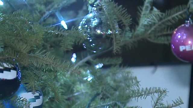 Couple's new business offers Milwaukee tree pickup after holidays - Vimarsana News