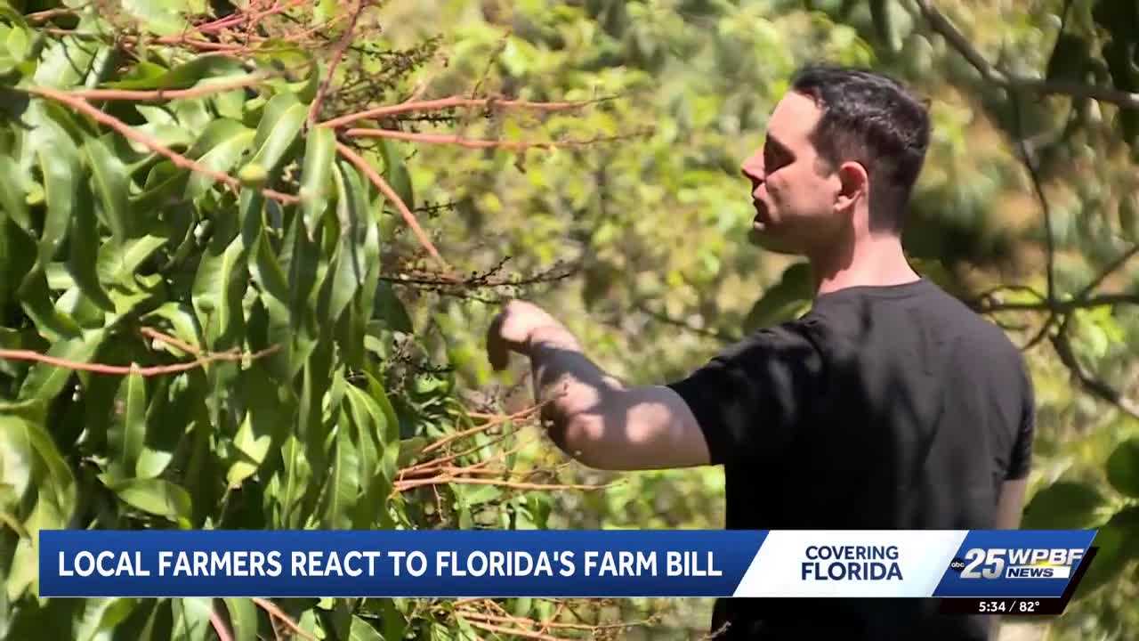 wpbf.com - Rachel Williams - Florida's new farm bill aims to protect agriculture and support farmers