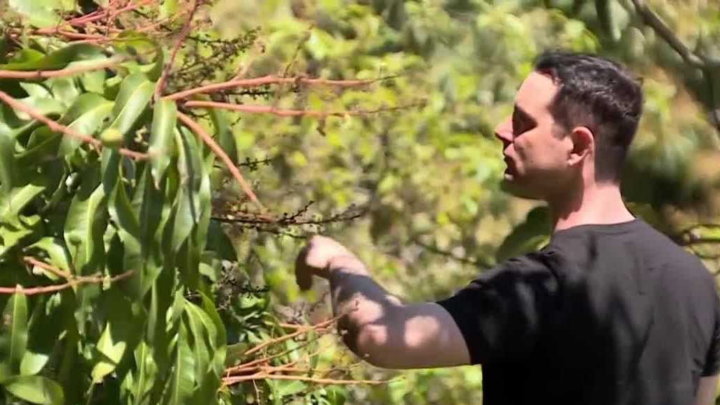 Florida's new farm bill aims to protect agriculture and support farmers