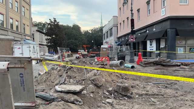 Bones found in downtown Savannah construction site "not human" - Vimarsana News