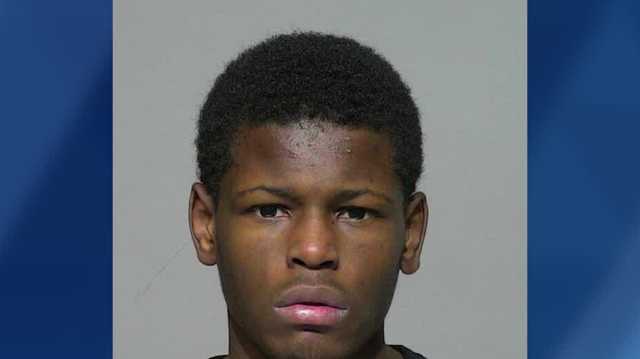 Milwaukee teen charged in police chase, gun store break-in - Vimarsana News