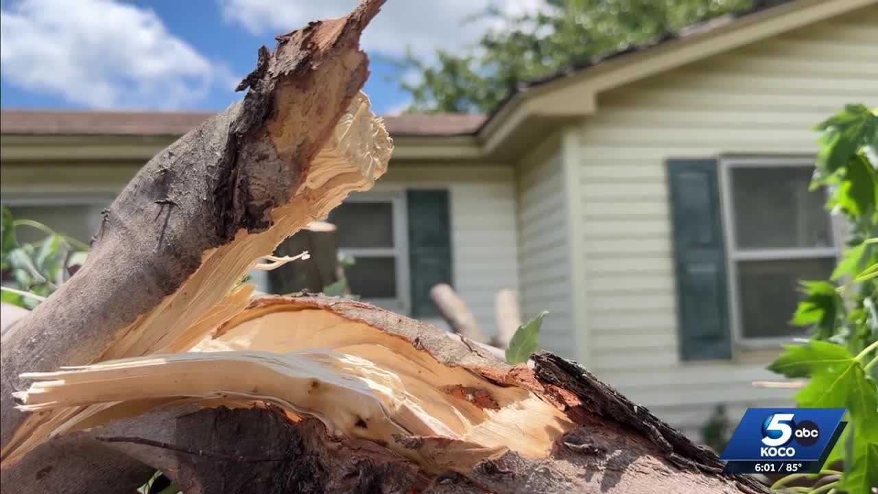 Choctaw family says downed tree narrowly missed 18-month-old’s window in overnight storm