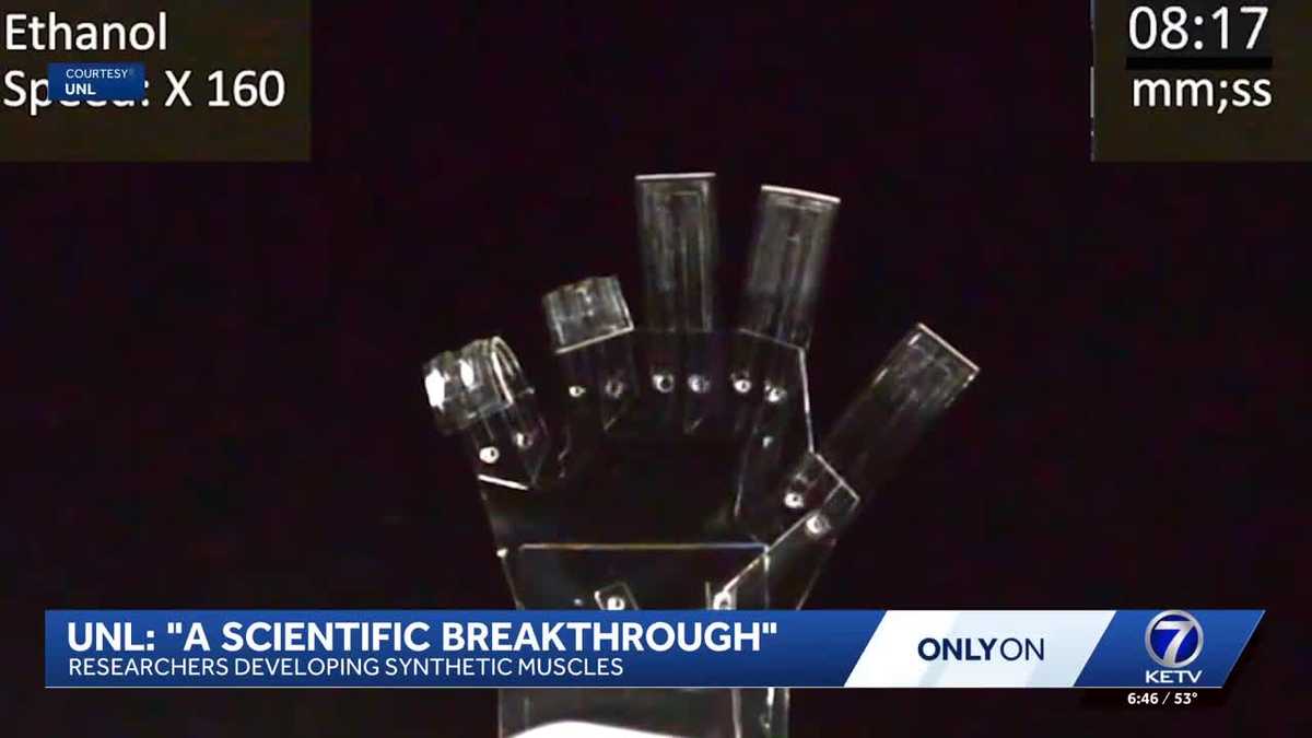 UNL researchers developing synthetic muscles - KETV