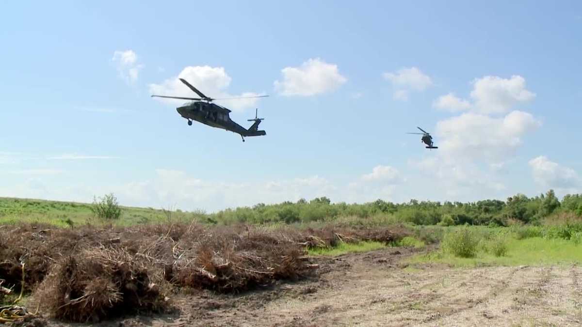 Christmas Tree drop returns for first time since COVID19 pandemic