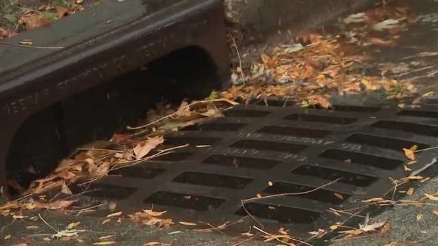 Adopt A Drain: Program helps to protect waterways in southeast Wisconsin - Vimarsana News