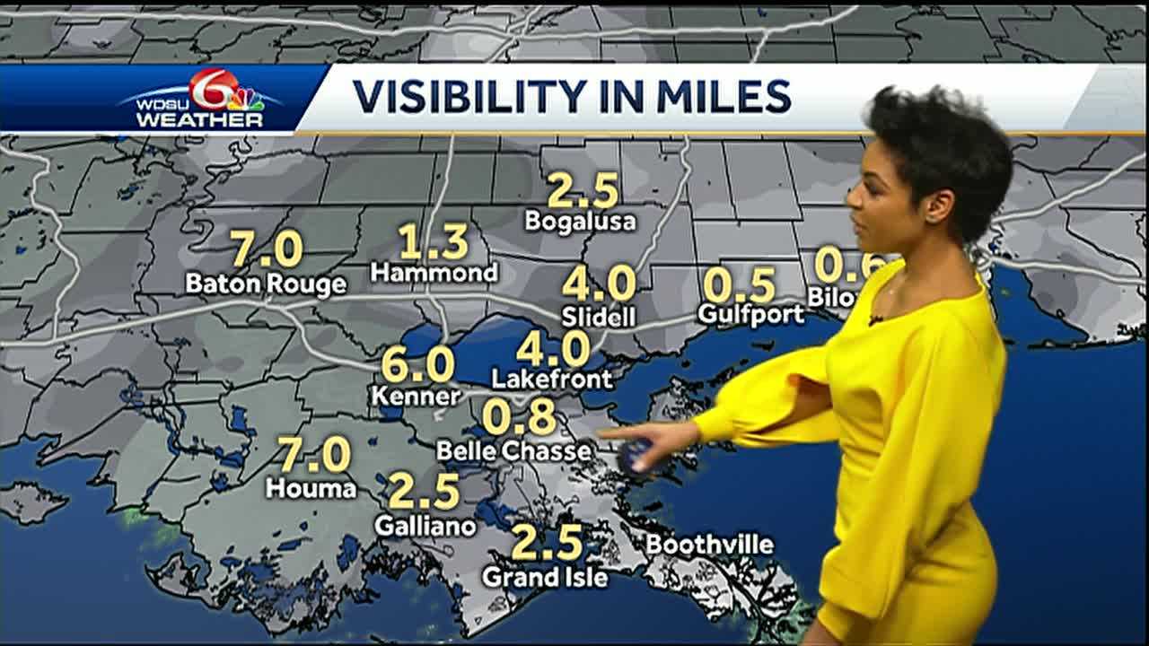 Videocast: Spotty Showers, Mild, Fog