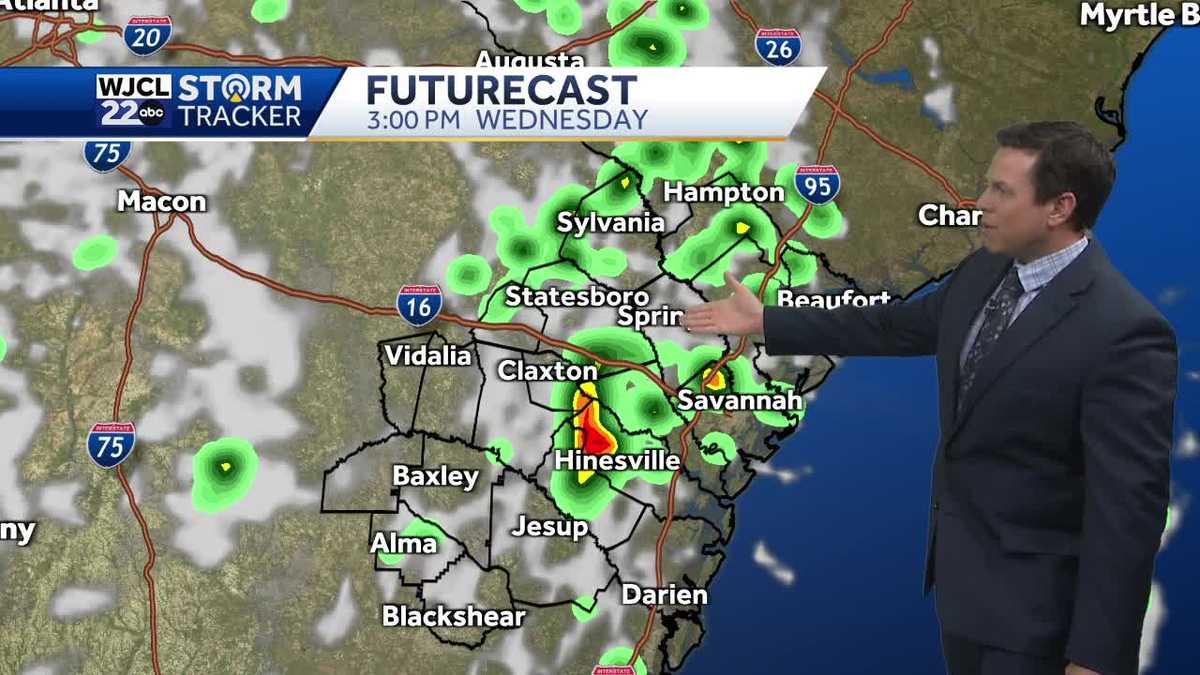 Umbrella needed this afternoon with showers and storms after 2 pm - WJCL