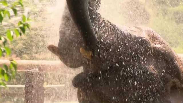 Pittsburgh Zoo keeping the animals cool