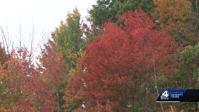 South Carolina: First look at when to time your leaf peeping trip - Vimarsana News