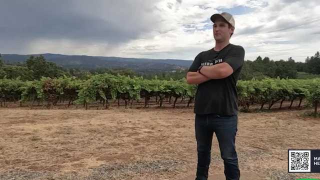How firefighters helped save Placerville winery from Caldor Fire - Vimarsana News