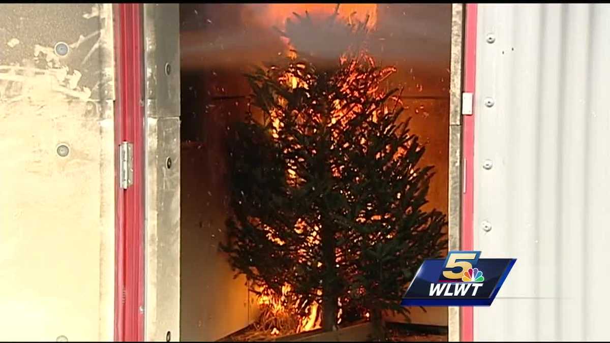 How fast does a dry Christmas tree burn?