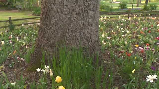 Exploring the Charles C. Jensen Botanical Garden - Vimarsana News