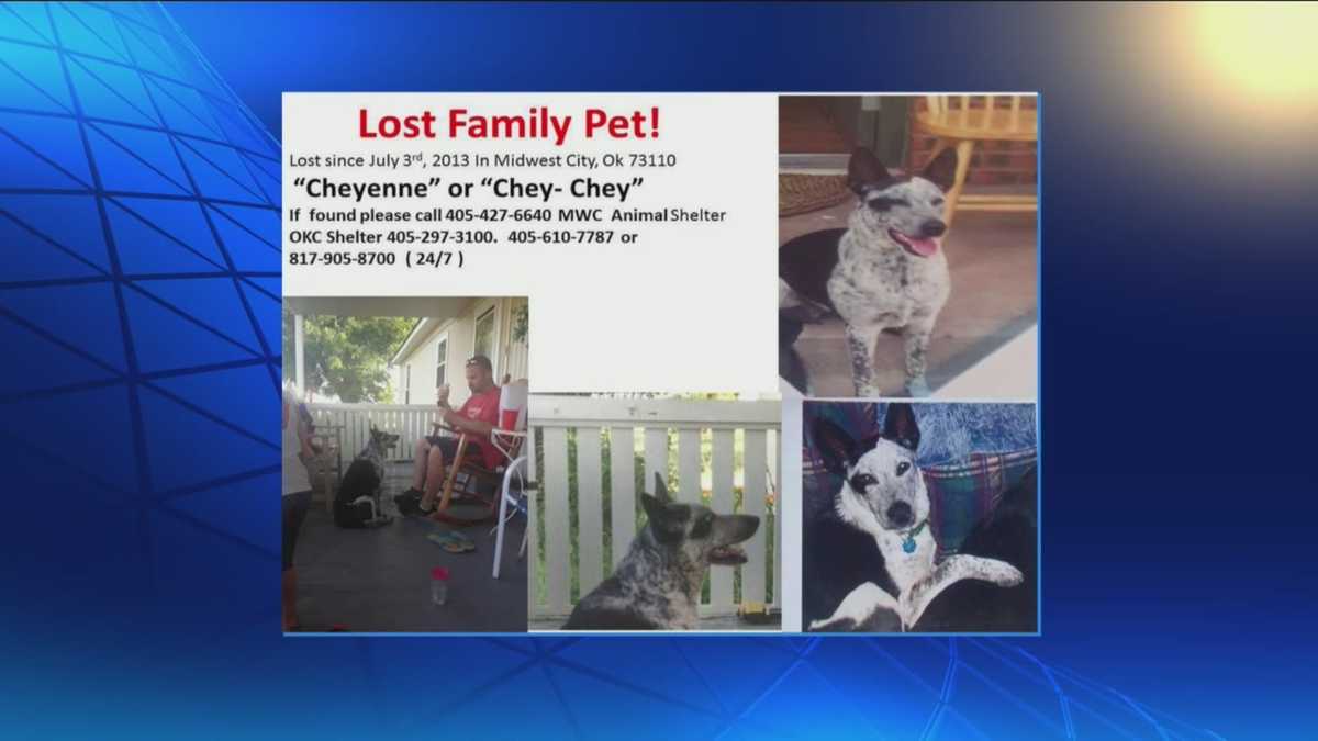 Owner and dog reunited after more than 175 days missing