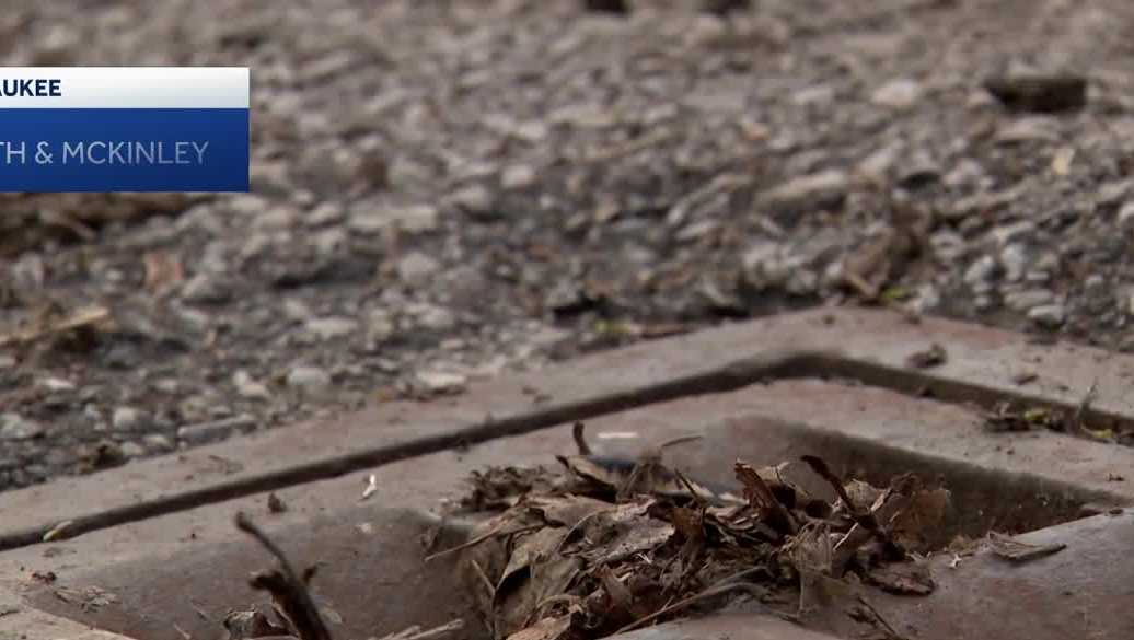 Did leaves contribute to widespread flooding in Milwaukee? Officials' answers are split