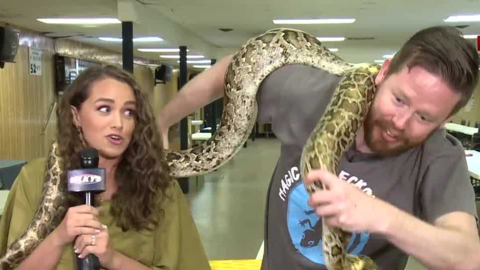 Indiana Reptile Breeder's Expo returns to Clarksville this weekend
