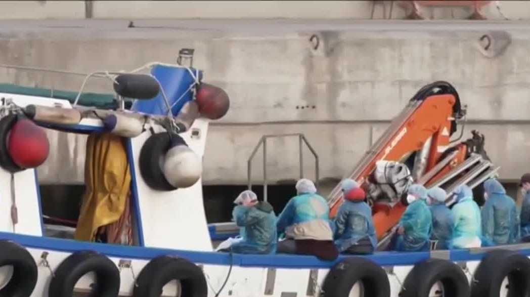 Hantavirus quarantine ends for exposed cruise passengers, including two with NH ties