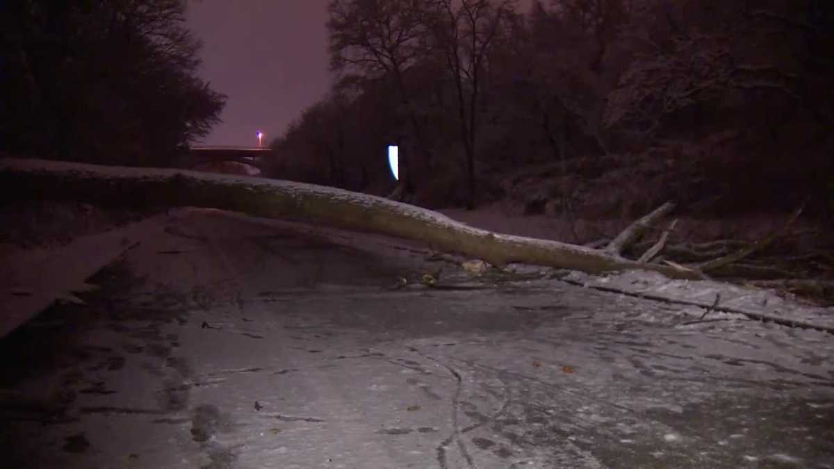 Tree falls across Negley Run Boulevard; traffic blocked