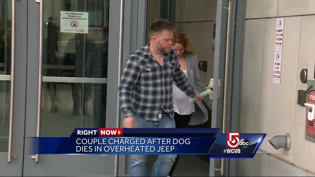 Dog dies after being left in car for 5 hours, police say