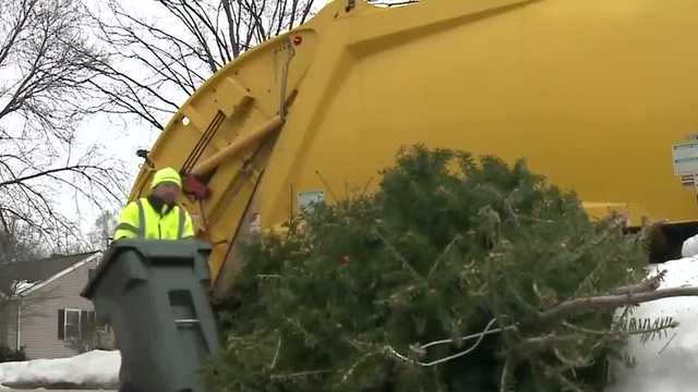 Milwaukee DPW releases tree pick-up guidance after back and forth - Vimarsana News