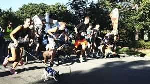 'Strutt with your Mutt' helps Brookside go to the dogs