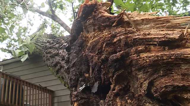 Kansas City's Sunday storms caused damage and power outages - Vimarsana News