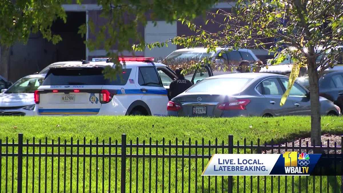 Assault News Image