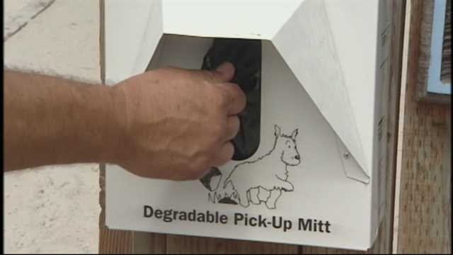 Carmel may make Mutt Mitts hot pink to expose beach trash
