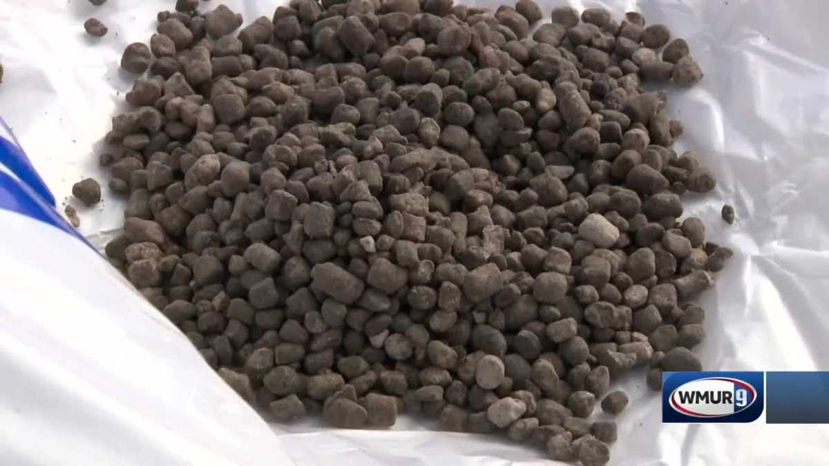 Grow it Green Putting lime on lawn