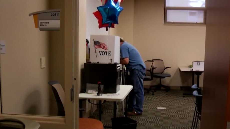 Iowa early voting sees 'International Election Observers'