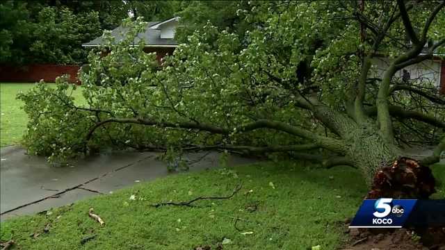 Insurance Claims Roof Damage Insurance Claim Assistance