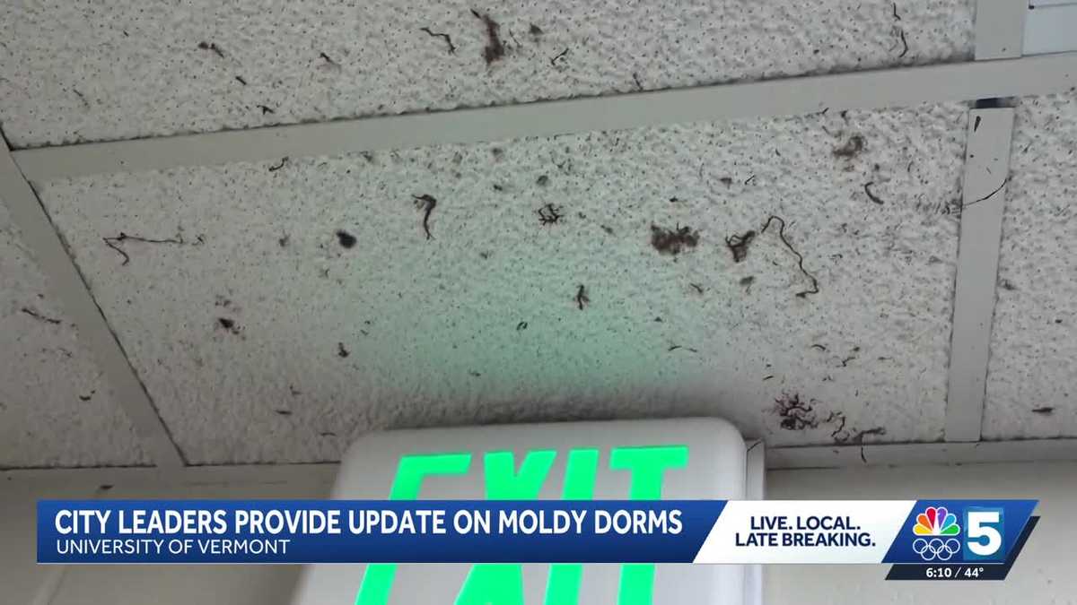 Burlington looks to strengthen oversight of UVM dorms after weeks of student complaints