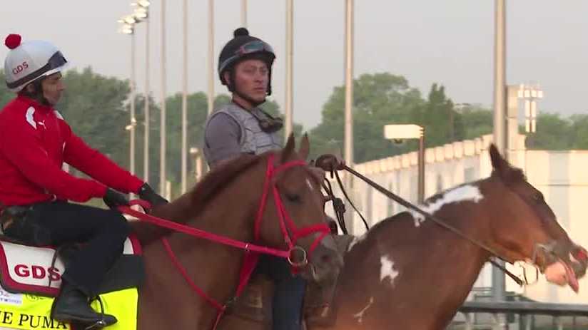 Fourth horse, The Puma, scratches from the Kentucky Derby