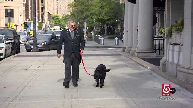 Dog influencer and canine ambassador draw growing fanbases - Vimarsana News