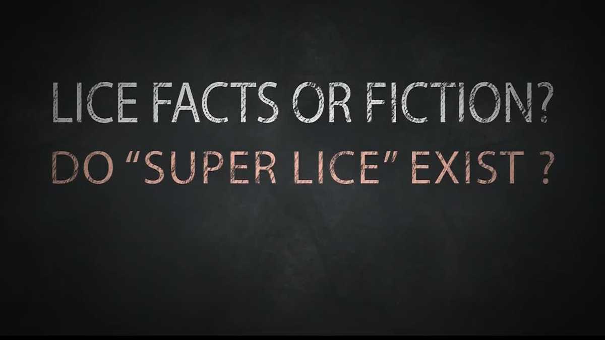 Super lice? They're a real headscratcher for area families