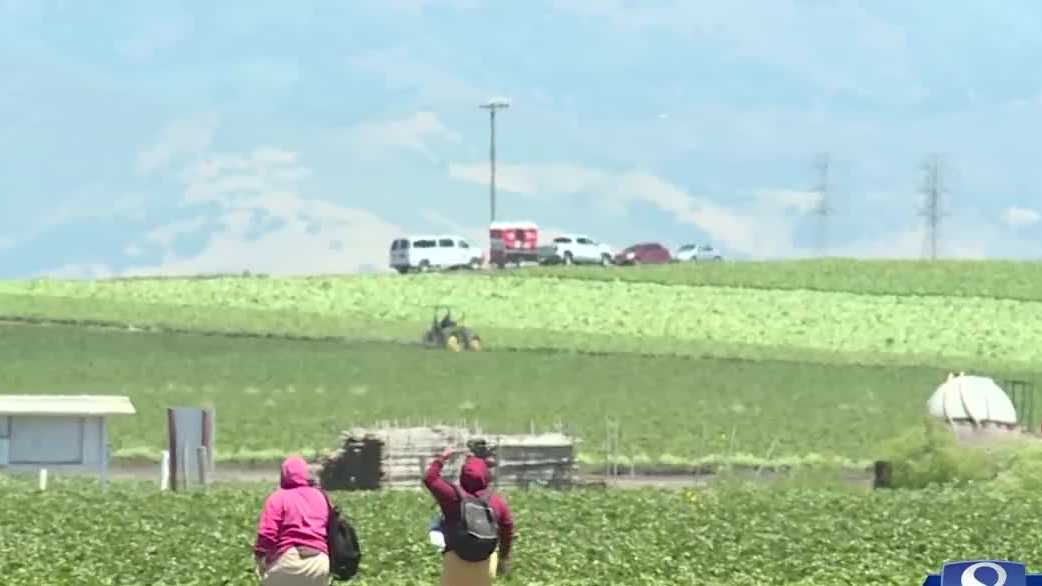 Millions in grants given to central coast colleges for ag education - Vimarsana News