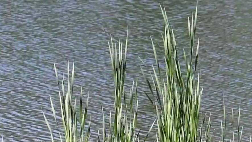 Active investigation takes a closer look at Pooler development