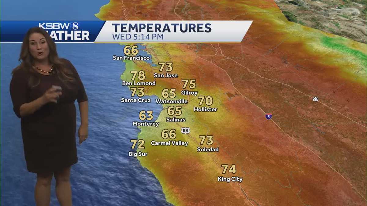 Partly sunny and mild temperatures for Thursday