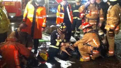 Police officer rescues man from fire, firefighters save his dogs