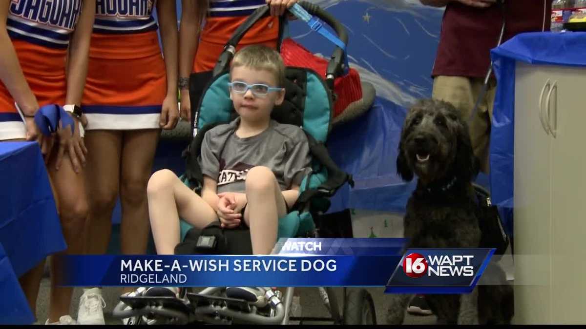 MakeAWish helps 5yearold get service dog