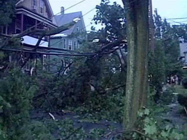 Microburst Hits Arlington, Downs Trees