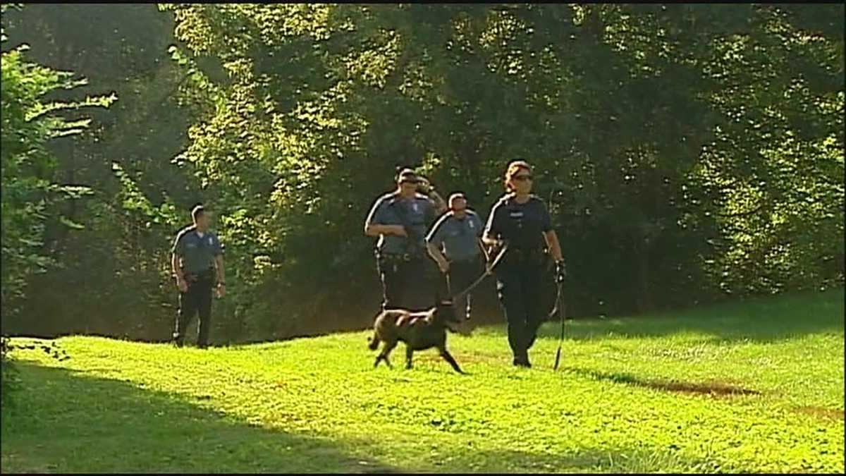 Schools go on lockdown during search for car theft suspect
