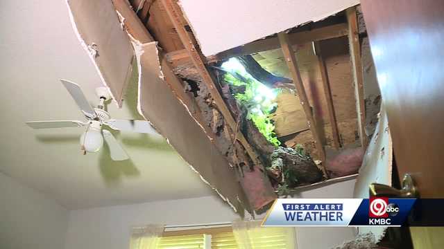 'I knew God took care of me:' Rich Canning says after tree crashes through bedroom - Vimarsana News