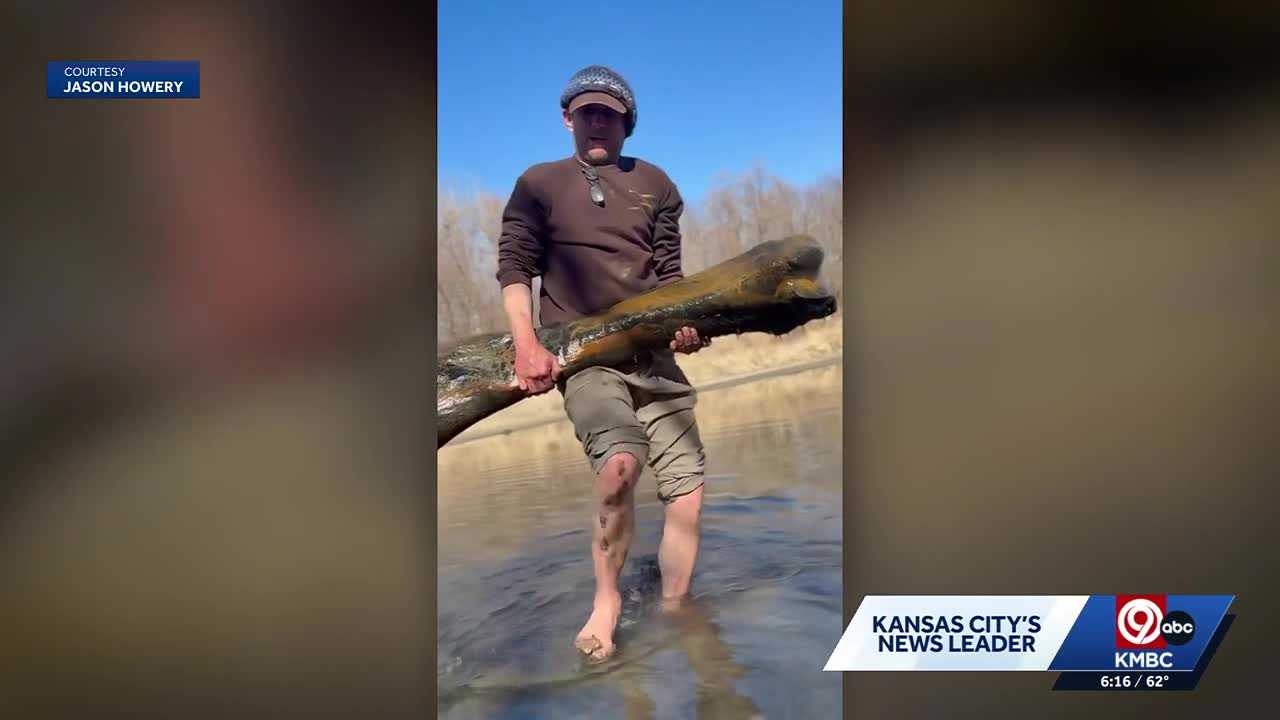 Man pulls 92-pound mammoth femur from Missouri waterway