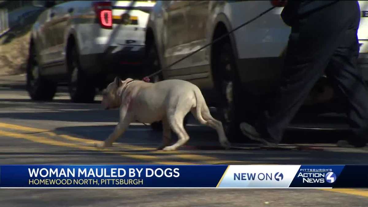 Woman in critical condition after being mauled by dogs