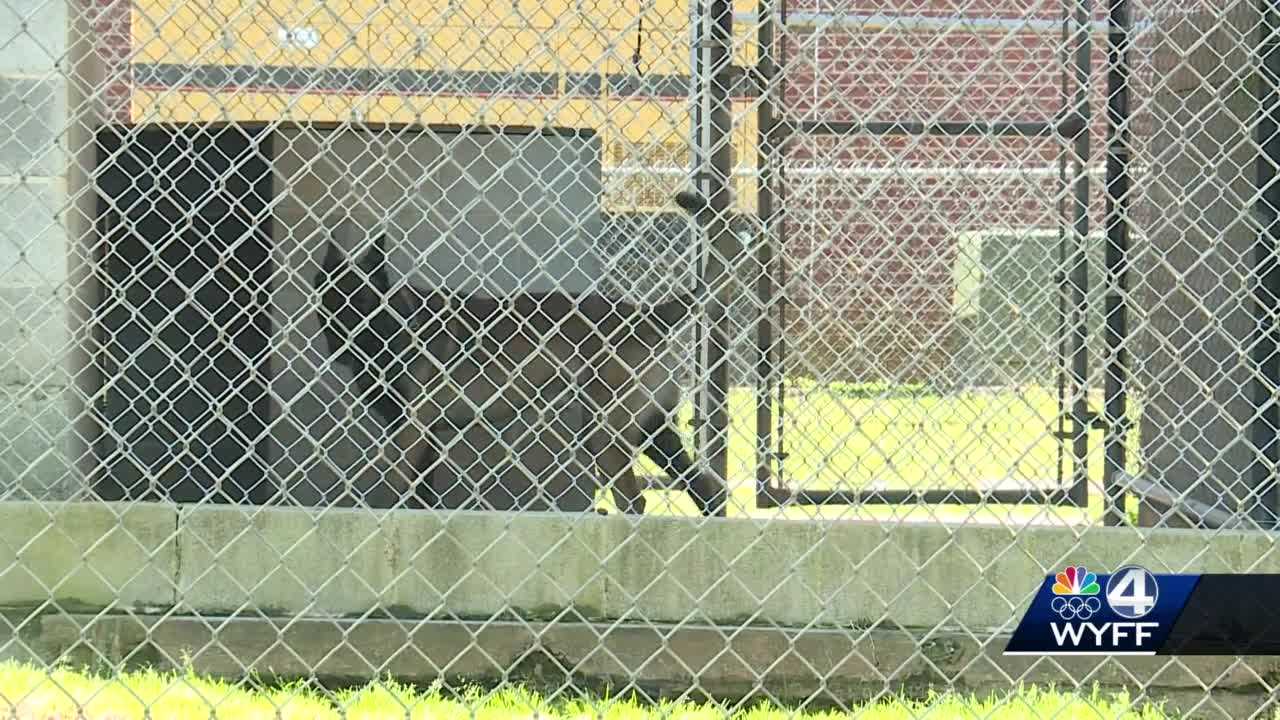 NAACP supports Cherokee County sheriff's as he refutes claims of police brutality involving K-9 - Vimarsana News