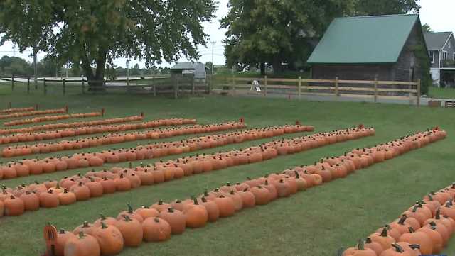 Wisconsin farmers overcome obstacles from drought for fun fall activities - Vimarsana News