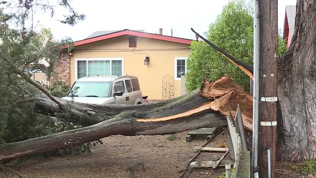 Tree falls on cars and fence outside Marina home - KSBW