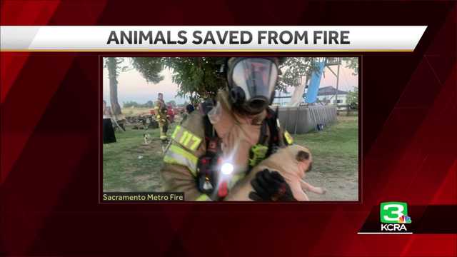 6 people displaced after mobile home fire near Rio Linda - Vimarsana News